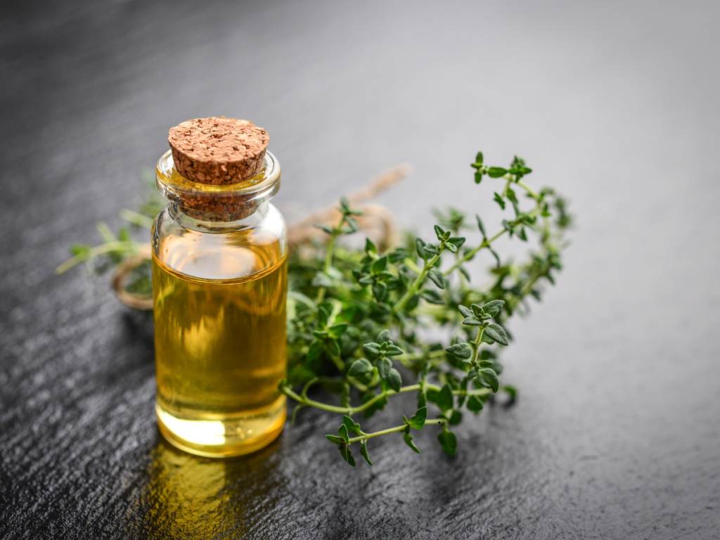 Clove Oil – A Natural Pain Reliever